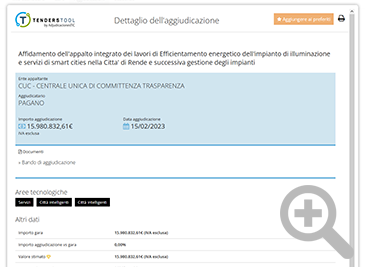 Dettaglio di aggiudicazione - Platinum